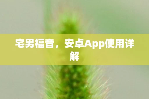 安卓App使用详解图片