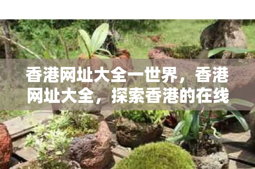 香港网址大全一世界，香港网址大全，探索香港的在线世界