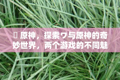 梶 原神，探索ワ与原神的奇妙世界，两个游戏的不同魅力与相同之处