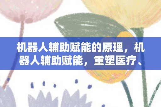 机器人辅助赋能的原理，机器人辅助赋能，重塑医疗、制造与教育的未来