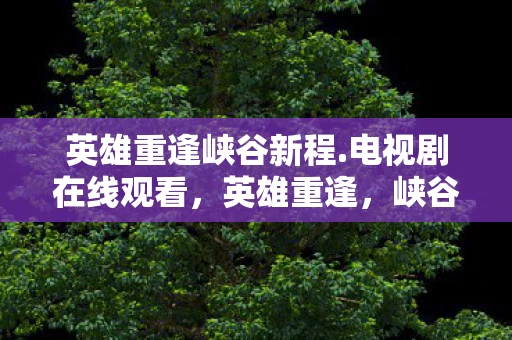 英雄重逢峡谷新程.电视剧在线观看，英雄重逢，峡谷新程