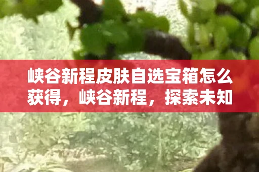 峡谷新程皮肤自选宝箱怎么获得，峡谷新程，探索未知，挑战自我