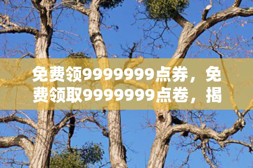 免费领9999999点券,免费领取9999999点卷,揭秘背后的真相与风险 免费领9999999点券,免费领取9999999点卷,揭秘背后的真相与风险