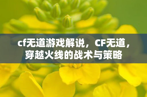cf无道游戏解说,CF无道,穿越火线的战术与策略 cf无道游戏解说,CF无道,穿越火线的战术与策略