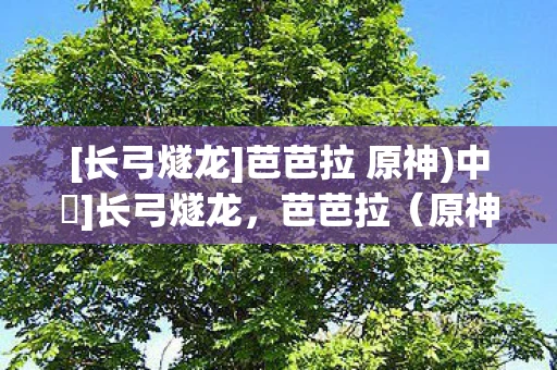 [长弓燧龙]芭芭拉 原神)中訳]长弓燧龙，芭芭拉（原神）的传奇之旅