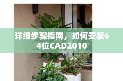 如何安装64位CAD2010图片