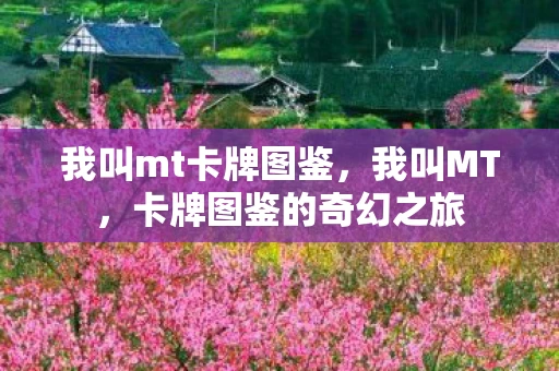 我叫mt卡牌图鉴，我叫MT，卡牌图鉴的奇幻之旅