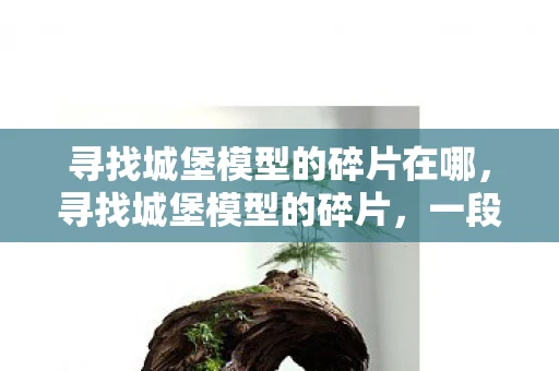寻找城堡模型的碎片在哪，寻找城堡模型的碎片，一段穿越时空的冒险