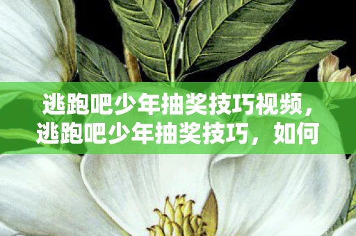 逃跑吧少年抽奖技巧视频，逃跑吧少年抽奖技巧，如何提升中奖率？