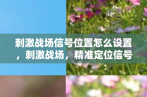 刺激战场信号位置怎么设置,刺激战场,精准定位信号位置,助你成为战场王者 刺激战场信号位置怎么设置,刺激战场,精准定位信号位置,助你成为战场王者