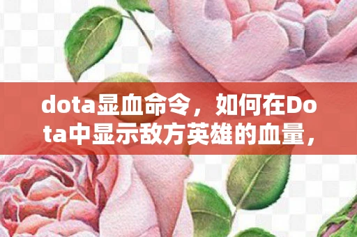dota显血命令，如何在Dota中显示敌方英雄的血量，实用技巧与注意事项