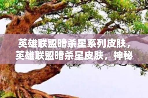 英雄联盟暗杀星系列皮肤，英雄联盟暗杀星皮肤，神秘与力量的完美结合