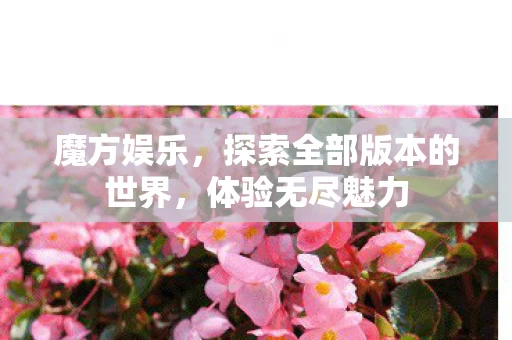 探索全部版本的世界图片