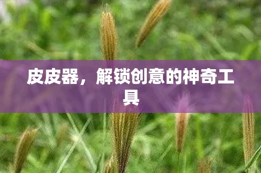 皮皮器,解锁创意的神奇工具 皮皮器,解锁创意的神奇工具