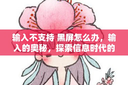 输入不支持 黑屏怎么办，输入的奥秘，探索信息时代的基石