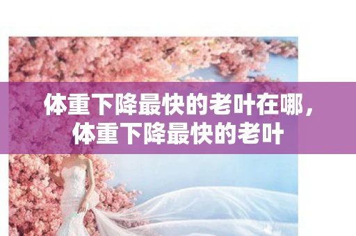 体重下降最快的老叶在哪，体重下降最快的老叶