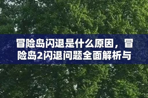 冒险岛闪退是什么原因，冒险岛2闪退问题全面解析与解决方案