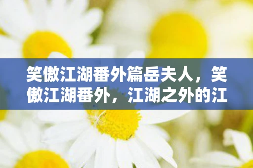 笑傲江湖番外篇岳夫人，笑傲江湖番外，江湖之外的江湖