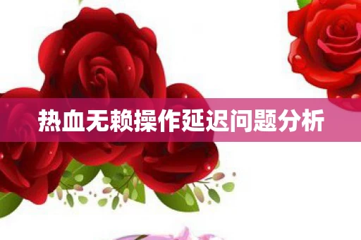 热血无赖操作延迟问题分析图片