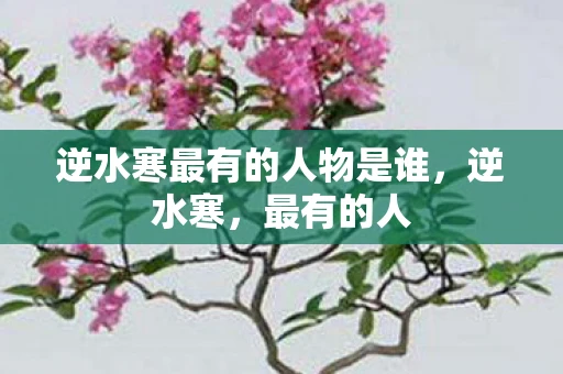 逆水寒最有的人物是谁，逆水寒，最有的人