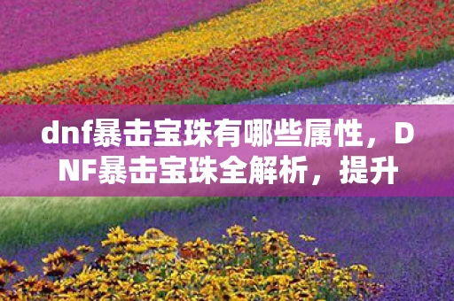 dnf暴击宝珠有哪些属性,DNF暴击宝珠全解析,提升战斗力的必备神器 dnf暴击宝珠有哪些属性,DNF暴击宝珠全解析,提升战斗力的必备神器