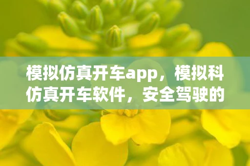 模拟仿真开车app，模拟科仿真开车软件，安全驾驶的未来趋势