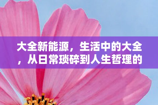 大全新能源，生活中的大全，从日常琐碎到人生哲理的全方位指南
