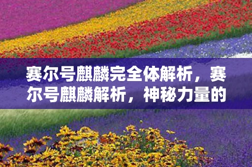 赛尔号麒麟完全体解析，赛尔号麒麟解析，神秘力量的探索