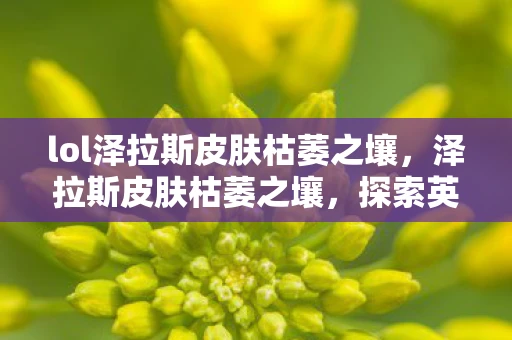 lol泽拉斯皮肤枯萎之壤，泽拉斯皮肤枯萎之壤，探索英雄联盟中的独特魅力