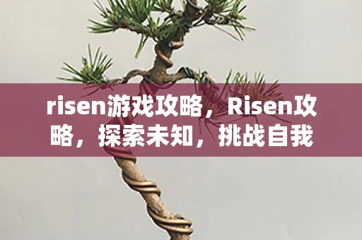 risen游戏攻略，Risen攻略，探索未知，挑战自我