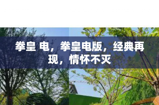 拳皇 电，拳皇电版，经典再现，情怀不灭