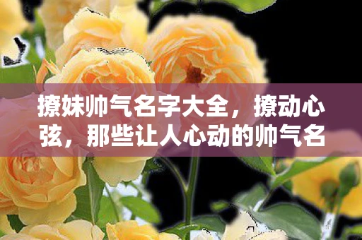 撩妹帅气名字大全,撩动心弦,那些让人心动的帅气名字 撩妹帅气名字大全,撩动心弦,那些让人心动的帅气名字