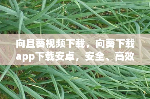向且葵视频下载，向葵下载app下载安卓，安全、高效、便捷