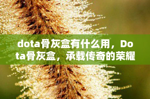 dota骨灰盒有什么用,Dota骨灰盒,承载传奇的荣耀与回忆 dota骨灰盒有什么用,Dota骨灰盒,承载传奇的荣耀与回忆