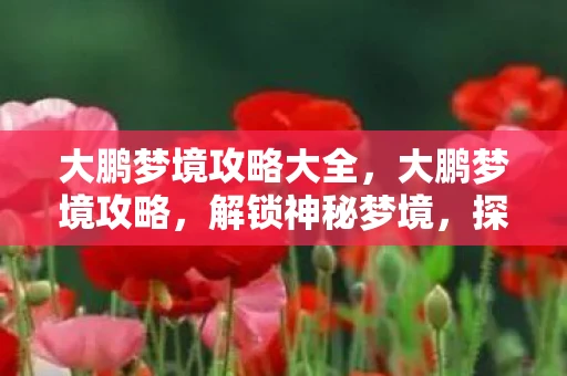 大鹏梦境攻略大全，大鹏梦境攻略，解锁神秘梦境，探索无限可能