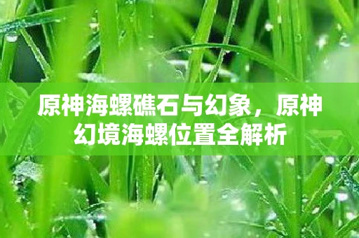 原神海螺礁石与幻象,原神幻境海螺位置全解析 原神海螺礁石与幻象,原神幻境海螺位置全解析