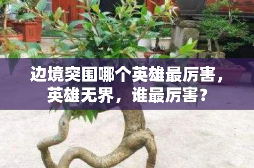 边境突围哪个英雄最厉害，英雄无界，谁最厉害？