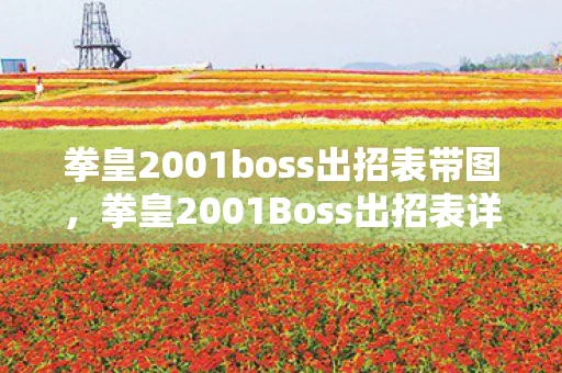 拳皇2001boss出招表带图，拳皇2001Boss出招表详解