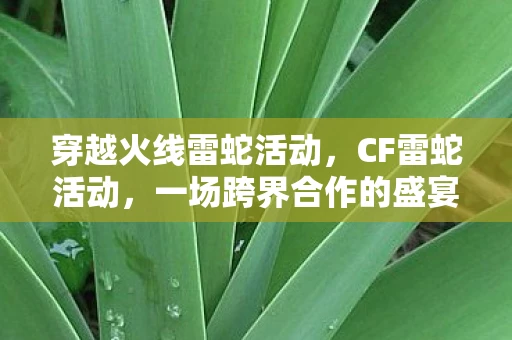 穿越火线雷蛇活动,CF雷蛇活动,一场跨界合作的盛宴 穿越火线雷蛇活动,CF雷蛇活动,一场跨界合作的盛宴