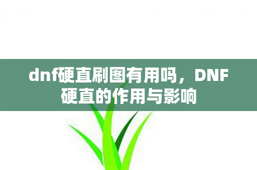 dnf硬直刷图有用吗，DNF硬直的作用与影响