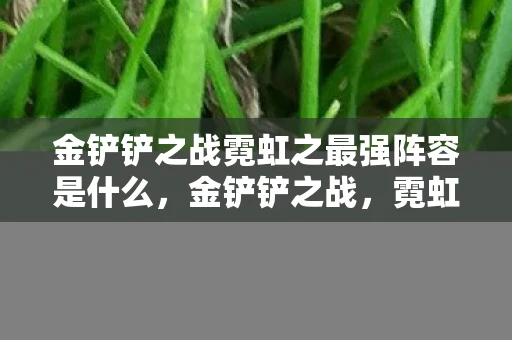 金铲铲之战霓虹之最强阵容是什么，金铲铲之战，霓虹之最强阵容揭秘