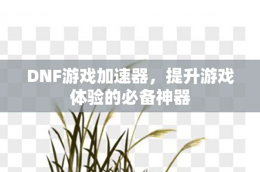 提升游戏体验的必备神器图片