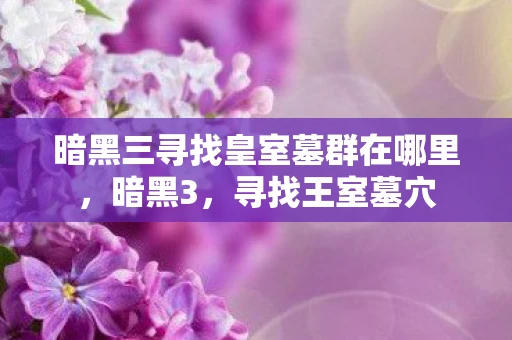 暗黑三寻找皇室墓群在哪里，暗黑3，寻找王室墓穴