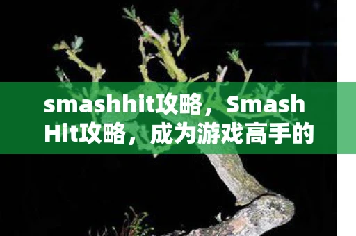 smashhit攻略,Smash Hit攻略,成为游戏高手的必备指南 smashhit攻略,Smash Hit攻略,成为游戏高手的必备指南