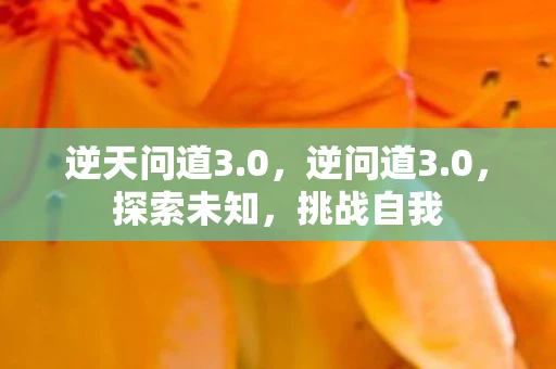 逆天问道3.0，逆问道3.0，探索未知，挑战自我