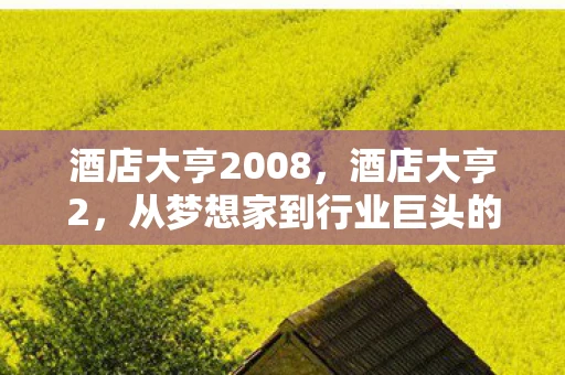酒店大亨2008，酒店大亨2，从梦想家到行业巨头的蜕变