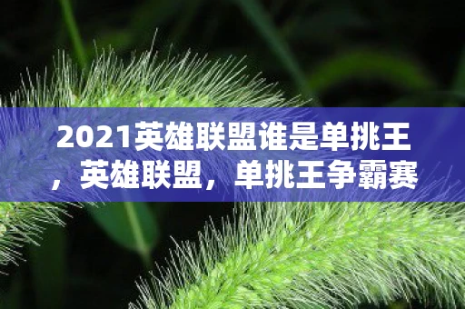 2021英雄联盟谁是单挑王，英雄联盟，单挑王争霸赛