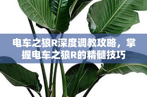 掌握电车之狼R的精髓技巧图片