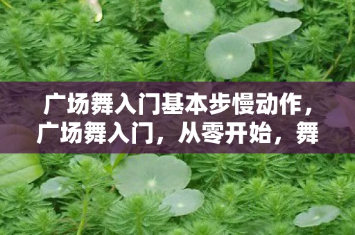 广场舞入门基本步慢动作,广场舞入门,从零开始,舞动健康人生 广场舞入门基本步慢动作,广场舞入门,从零开始,舞动健康人生