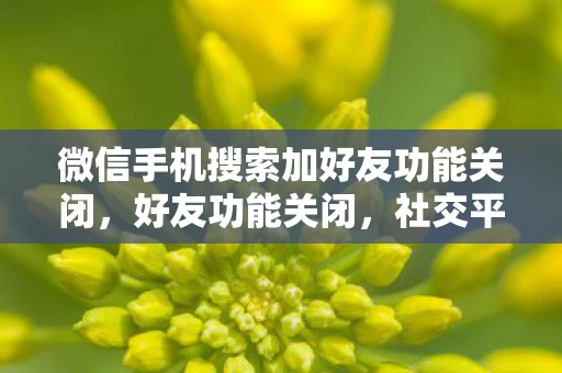 微信手机搜索加好友功能关闭，好友功能关闭，社交平台的变革与影响